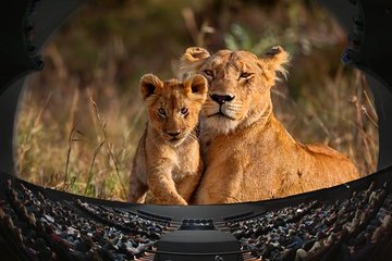 africa-the-serengeti